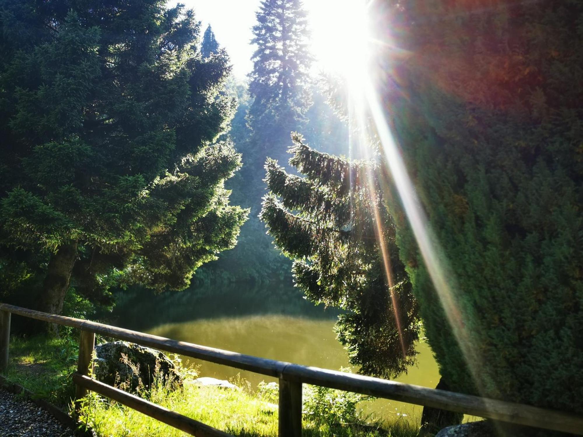 Miuti Residence Triberg im Schwarzwald Zewnętrze zdjęcie