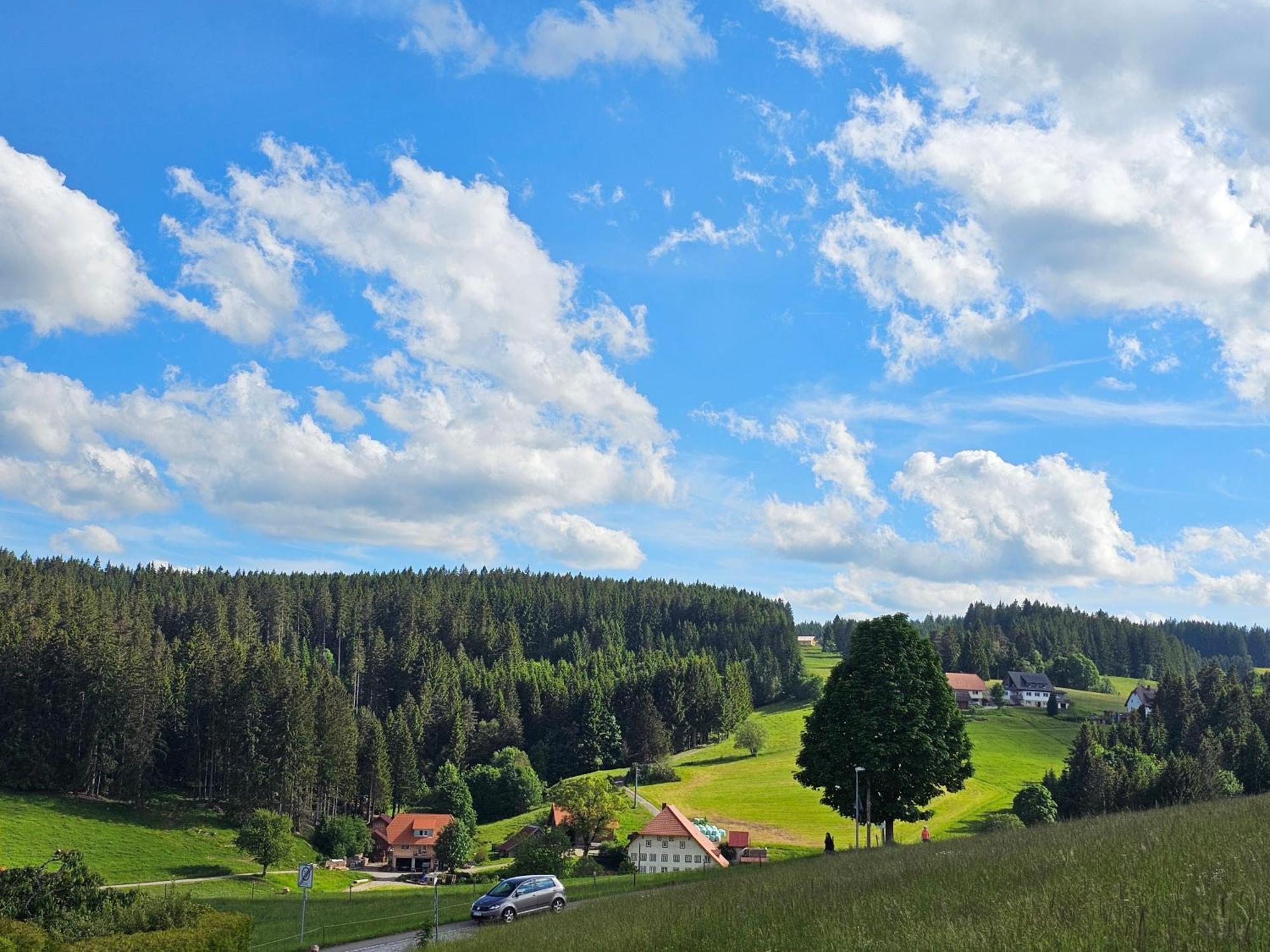 Miuti Residence Triberg im Schwarzwald Zewnętrze zdjęcie